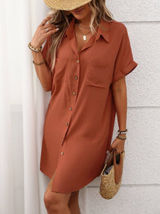 Tandy Striped Shirt Dress