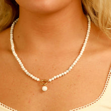 Load image into Gallery viewer, Semi Precious Natural Stone Charm Keeper Necklace