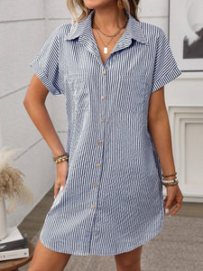 Tandy Striped Shirt Dress