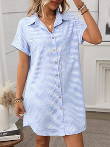 Tandy Striped Shirt Dress