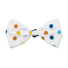Load image into Gallery viewer, 4-Piece Dog Birthday Kit: Bandana, Hat, Bow Tie, Plush Toy