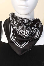 Load image into Gallery viewer, Paisley Bandana Scarf