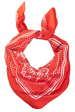 Load image into Gallery viewer, Paisley Bandana Scarf