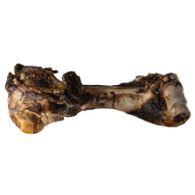 Load image into Gallery viewer, Dino Beef Bone Dog Treat - Natural Long-Lasting Chew