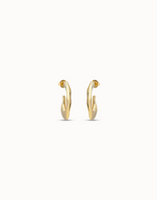 Load image into Gallery viewer, Nimbo Earrings Gold