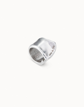 Load image into Gallery viewer, The Crevice Ring Silver